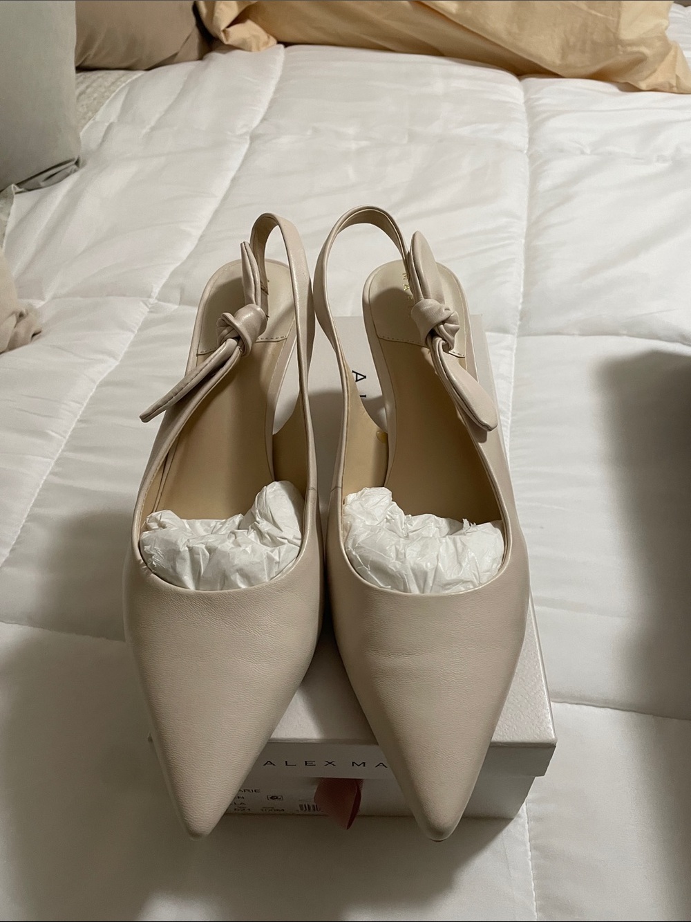 Alex Marie Pointed Slingback Heels in Light Beige by